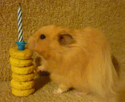 Hugh on his 2nd birthday